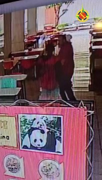 Homem é preso após tentar roubar cachorro e agredir tutor no Sudoeste