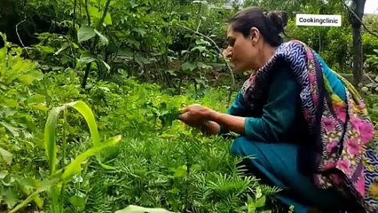 Village food vlog-life of Gilgit Baltistan people vlog