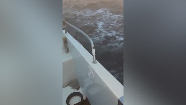 Pescadores descubren la presencia de orcas alrededor de su embarcación en la ría de Suances, Cantabria