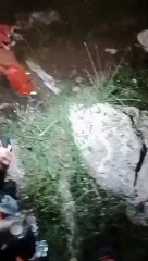 Un'Avventura Epica per Salvare la Pecora Ferita 🐑