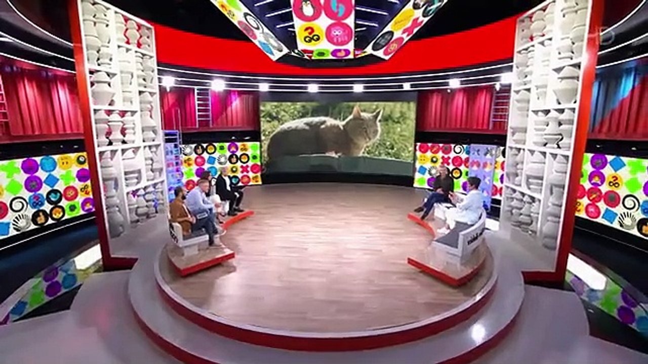 Видели видео? Выпуск от 13.10.2024