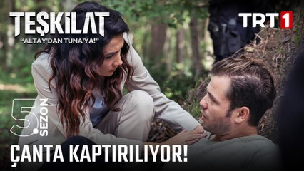Altay çantayı daha fazla koruyamadı... | #Teşkilat 115. Bölüm