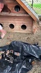 Ümraniye Belediyesi'nden Hekimbaşı'ndaki ölü kedi görüntülerine ilişkin açıklama: Bir grup tedavi altında olan hayvanlarımızın görüntülerini izinsiz kayda almış, yanlış izlenim