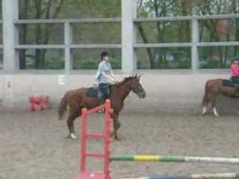 cso saut d'obstacle avec karatchi!