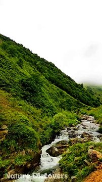 Nature Sounds ♬♬ || Nature Discovers.......#shorts #naturesounds #natureshorts @naturediscovers