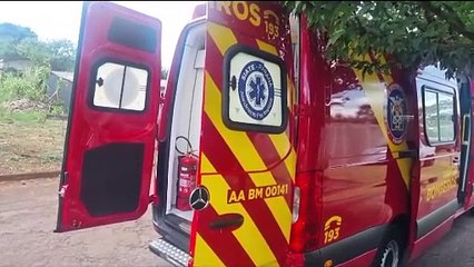 Homem fica ferido ao cair de árvore no Turisparque