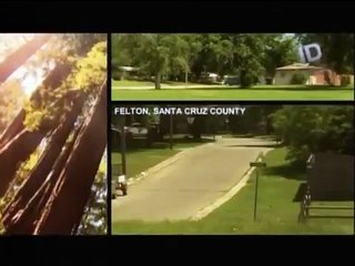 DEMENTES - HERBERT MULLIN