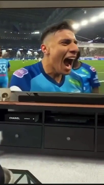 Cat watching soccer
