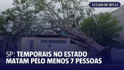 SP: temporais no estado matam pelo menos 7 pessoas
