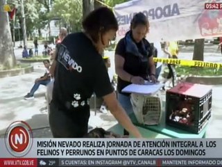 Caracas | Misión Nevado realizó una jornada de atención veterinaria integral a perros y gatos