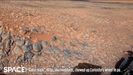 Watch NASA's Curiosity Rover Encounters Sharp Martian Rocks
