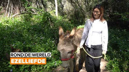 Rond de wereld: Ezeltherapie