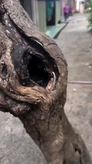 Look carefully what's there