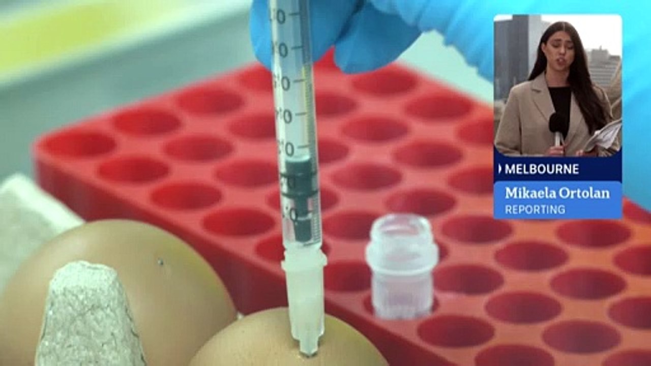 Government announces 95 million preparedness fund for bird flu video