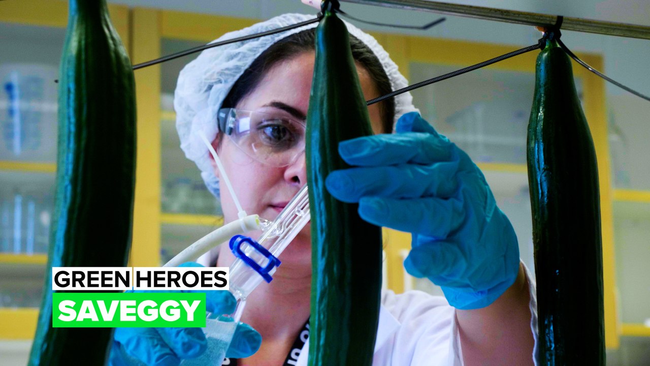 Green Heroes: Saveggy