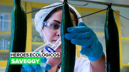 Héroes ecológicos: Saveggy