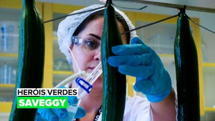 Heróis Verdes: Saveggy