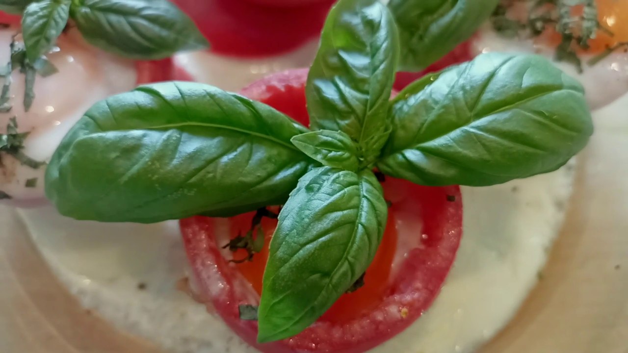 Italian stuffed tomatoes recipe with cheese, eggs and ham. Try it today!