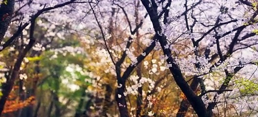 Batalla de amor y poder Temp 1 Episodio 7