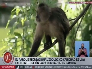 Download Video: Aqua Reptarium muestra especies exóticas de otros continentes en el Zoológico de Caricuao