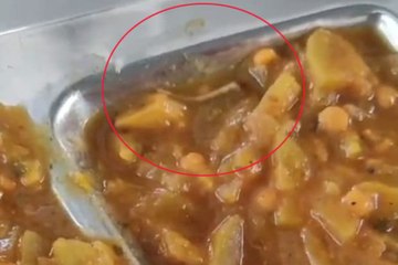 खाने में मिली छिपकली की पूंछ, वीडियो वायरल