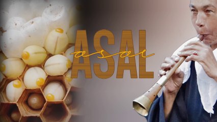 🎶 ASAL - delicate orchestral melody - HUSSEIN ELMASRY