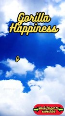 Animal Facts        Gorilla Happiness          #shorts