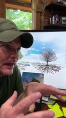 How Do I  Know the Difference in God’s Direction and My Own Thoughts