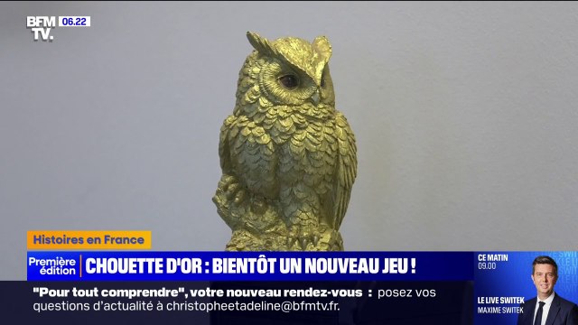 Chasse au trésor: le créateur de la Chouette d'or confirme qu'elle a bien été retrouvée