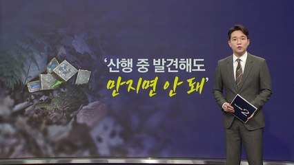 산행 중 발견한 어묵? "절대 만지면 안돼요" [앵커리포트] / YTN