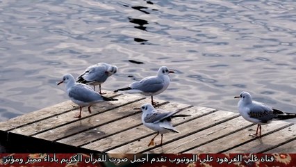 اجمل صوت قران حزين في العالم قماة علي الفرهود القران الكريم