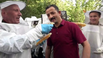 Van'da halaylı bal hasadı
