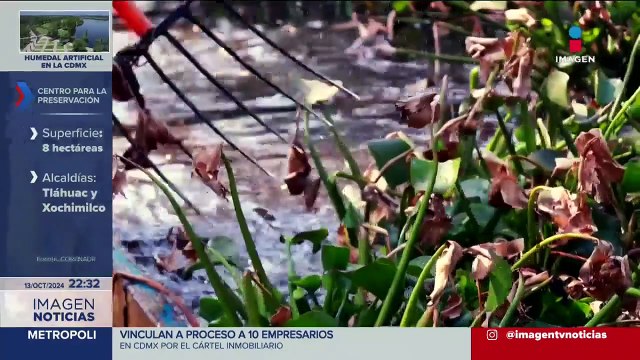 Crean humedal artificial en los límites de las alcaldías Tláhuac y Xochimilco, CDMX