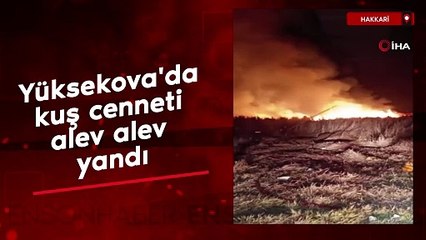 Yüksekova'da kuş cenneti alev alev yandı