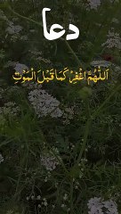 Daily Dua #Dua روزانہ کی #دعا #Recitation #viral