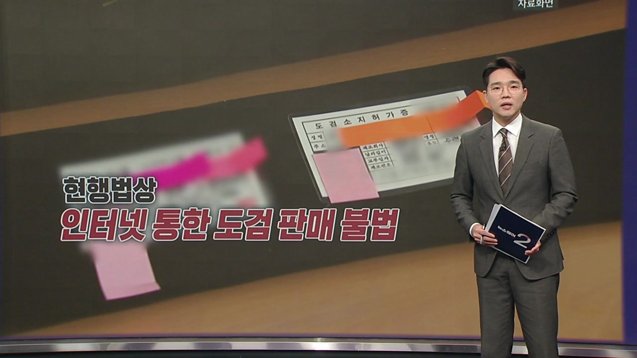 '일본도 살인사건' 가해자에게 도검 판 업자 등 검거 [앵커리포트] / YTN