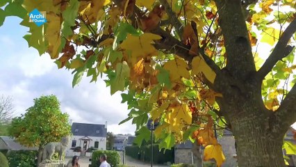 29-LE CLOITRE SAINT THEGONNEC-Réappro du coeur de bourg