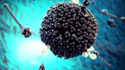 BBC - Our Secret Universe The Hidden Life of the Cell