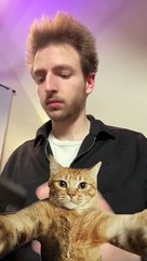 C'est pour le travail promis