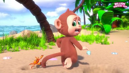 Monkey’s funny Island troubles and adventures! Trouble Island fun
