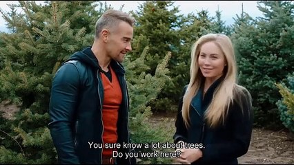 A Prince For Christmas 2024 - New Hallmark Movies 2024 - christmas hallmark movie 2024 - Holiday