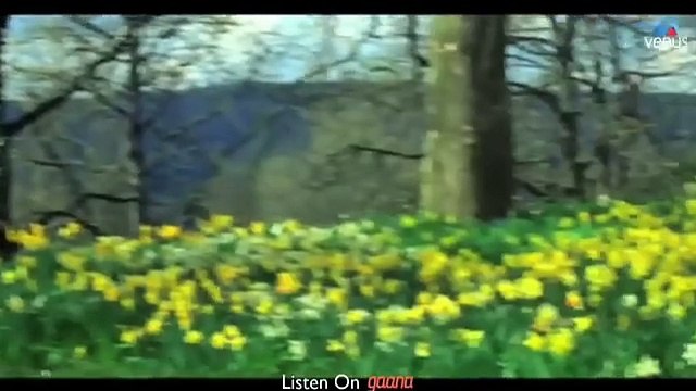 Tum Dil Ki Dhadkan Mein ((Jhankar)) Abhijeet Bhattacharya, Alka Yagnik | Shilpa Shetty, Sunil Shetty