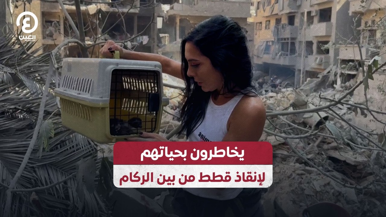 يخاطرون بحياتهم لإنقاذ قطط من بين الركام