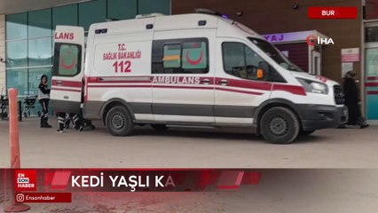 Bursa'da kedi ile köpeğin kavgasını ayırdı, kedinin saldırısına uğradı