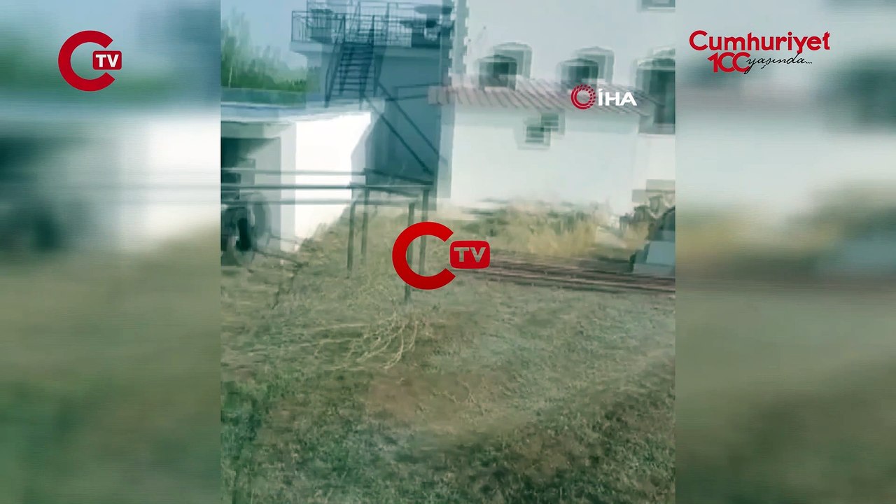 Elazığ’da zehirli tür 'Uğur Böceği Örümceği' görüldü