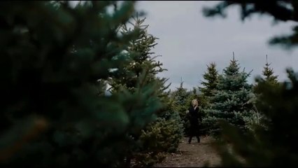 A Prince For Christmas 2024 - New Hallmark Movies 2024 - christmas hallmark movie 2024 - Holiday