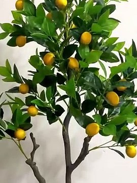 Bán cây chanh giả giống thật 90%, giá ưu đãi, chất lượng tốt, decor tinh tế