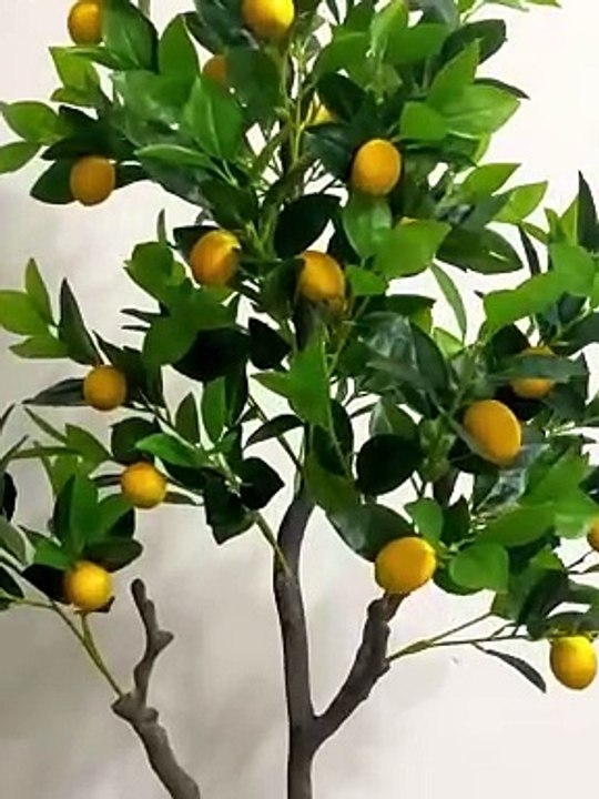 Bán cây chanh giả giống thật 90%, giá ưu đãi, chất lượng tốt, decor tinh tế