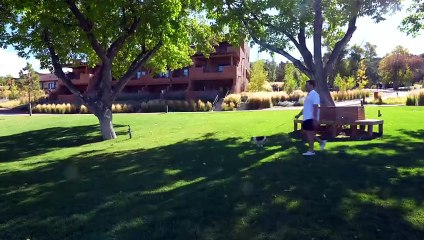 I Tested 5-Star Hotels Made For Dogs #worldwide #dailymtion #hotels