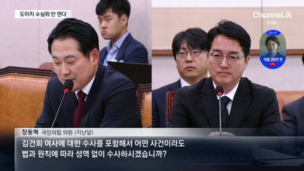 김 여사 ‘도이치모터스’ 수사심의위 안 연다…17일 처분할 듯